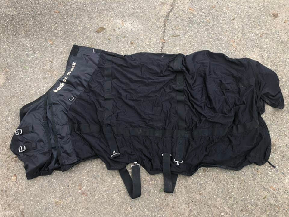 Back On Track Mesh Sheet, Black, Sz. 78
