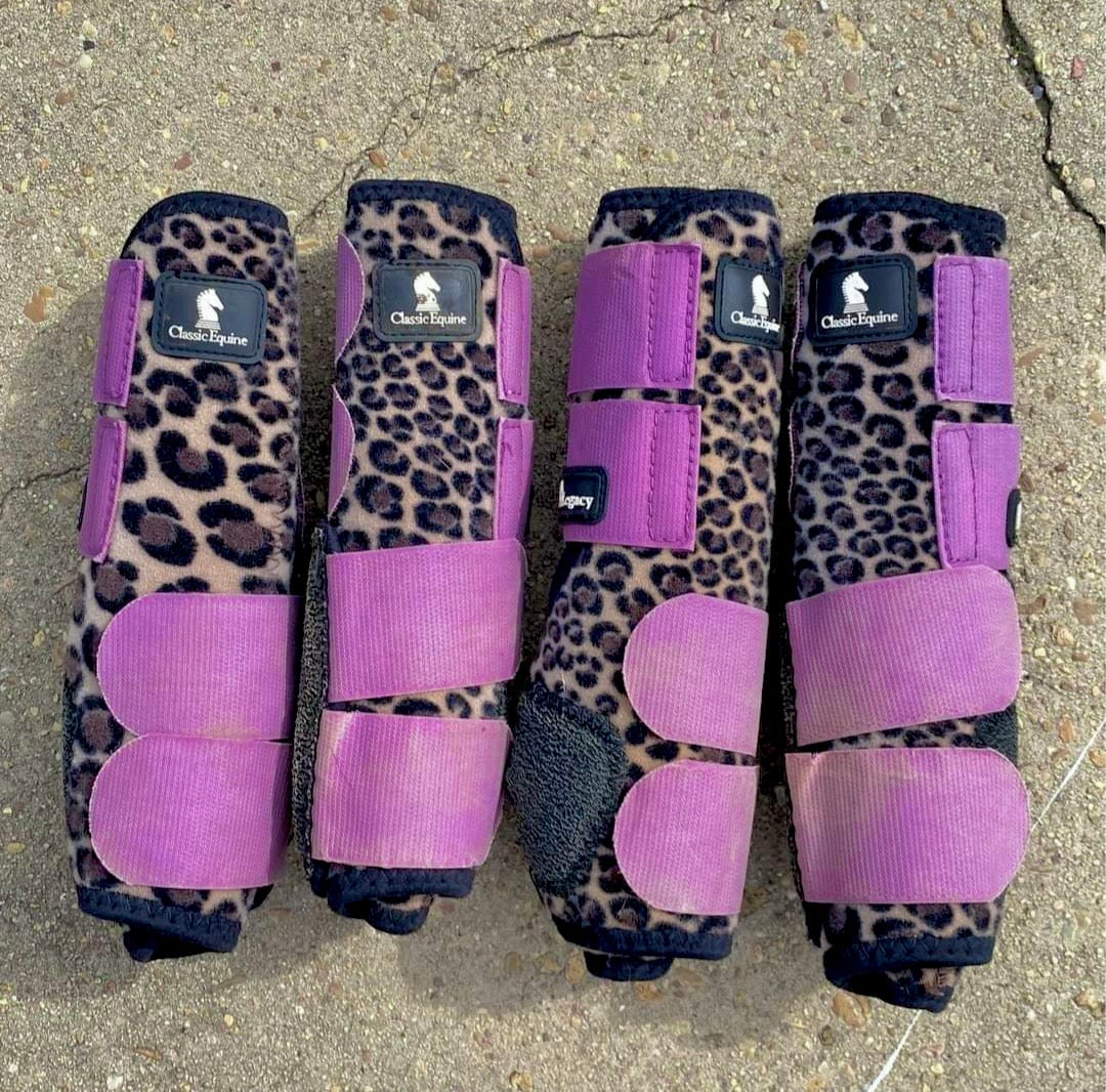 Classic Equine Legacy Boots, Full Set, Medium