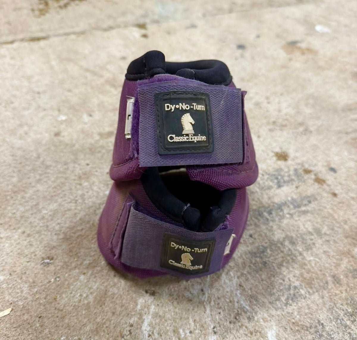 Classic Equine Dy-No Turn Bell Boots, Eggplant, Large