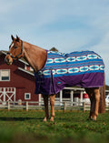 Weatherbeeta ComFiTec Legend Turnout 220G